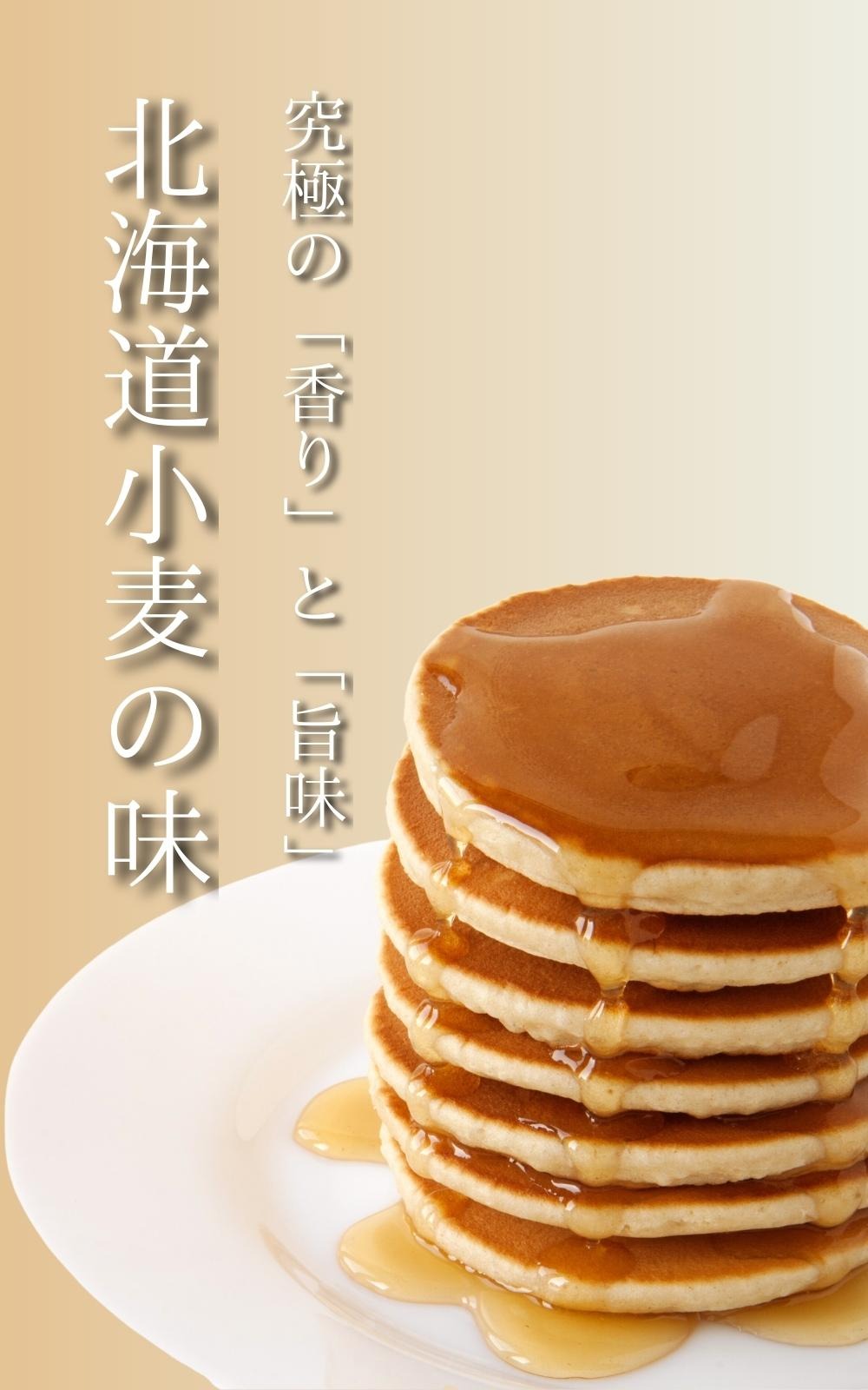 ひでちゃん小麦 ホットケーキミックス 2袋セット