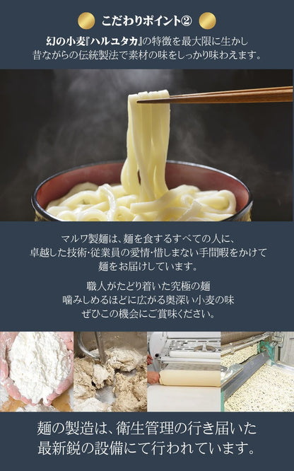 ひでちゃん小麦 はるゆたかうどん細麺タレ付き 2人前