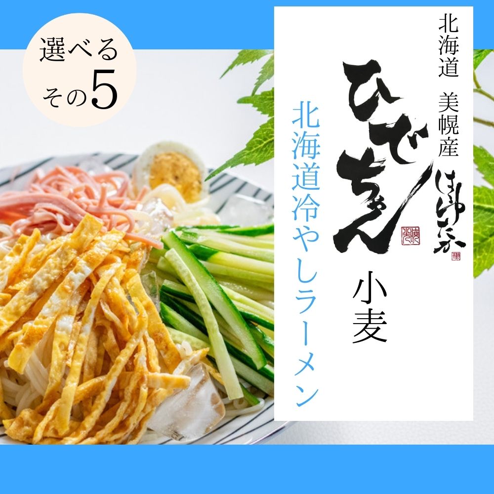 ひでちゃん小麦 北海道ラーメン 選べる2食セット