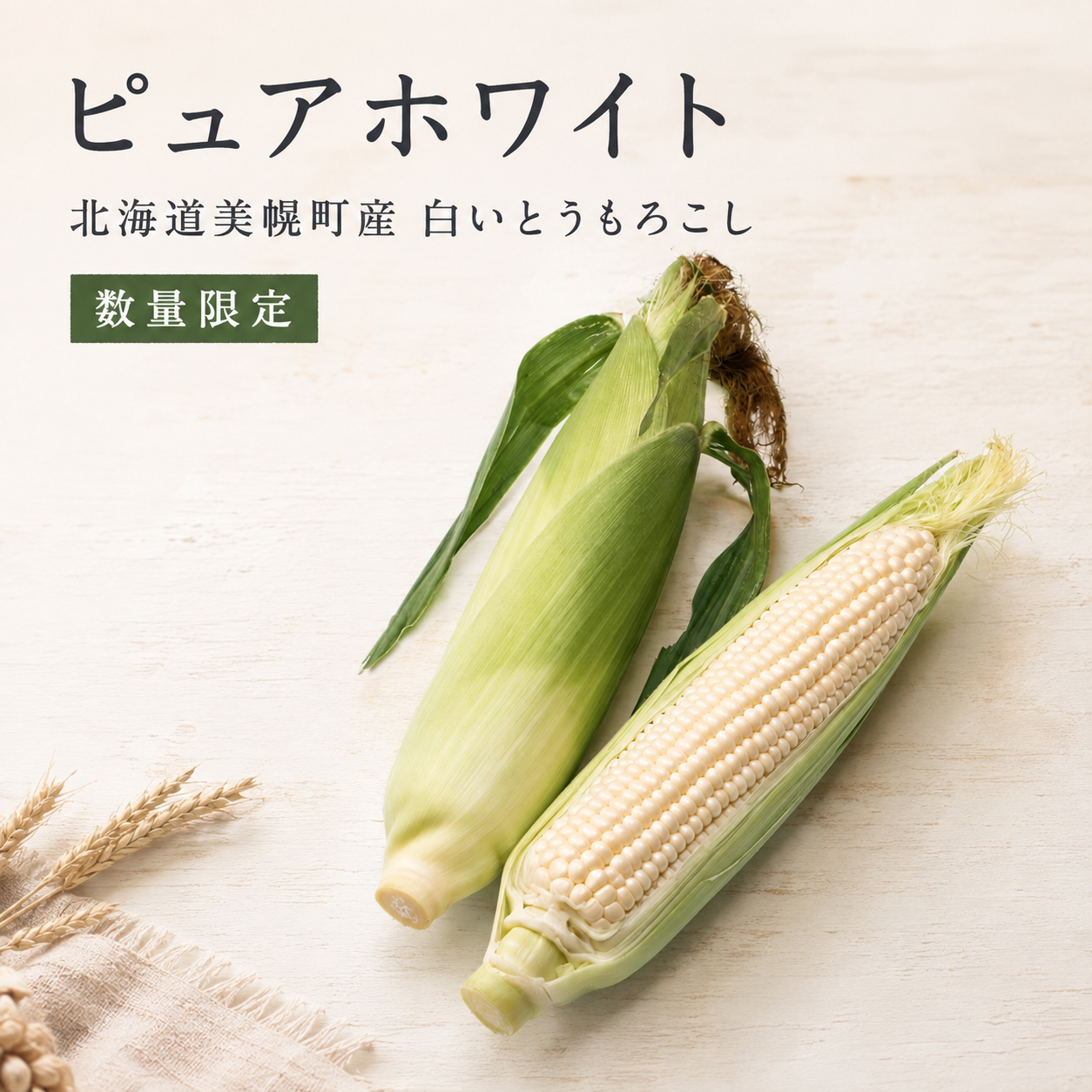ピュアホワイト 北海道美幌町産 白いとうもろこし（数量限定）